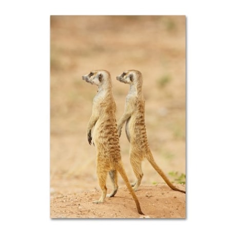 Robert Harding Picture Library 'Two Animals' Canvas Art,16x24